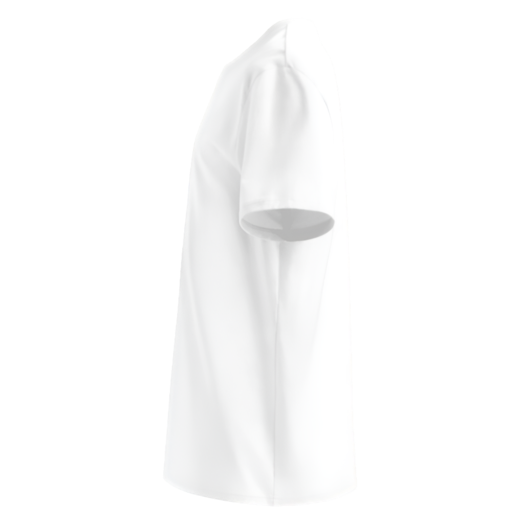 Baggio 10 "Divin Codino" Iconic Italy Tee